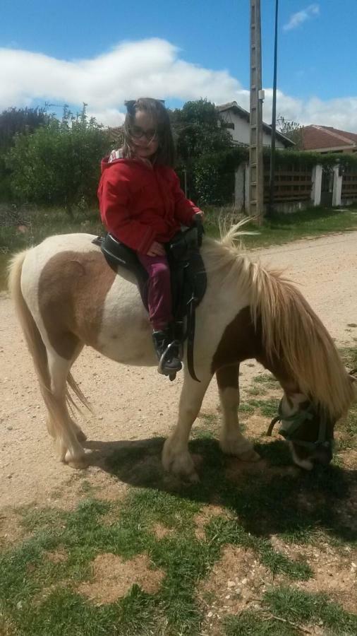 Casa Rural La Casa De Los Pollos Turrubuelo Εξωτερικό φωτογραφία
